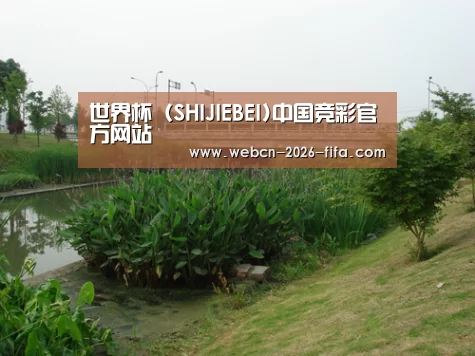 案例展示四(图1)