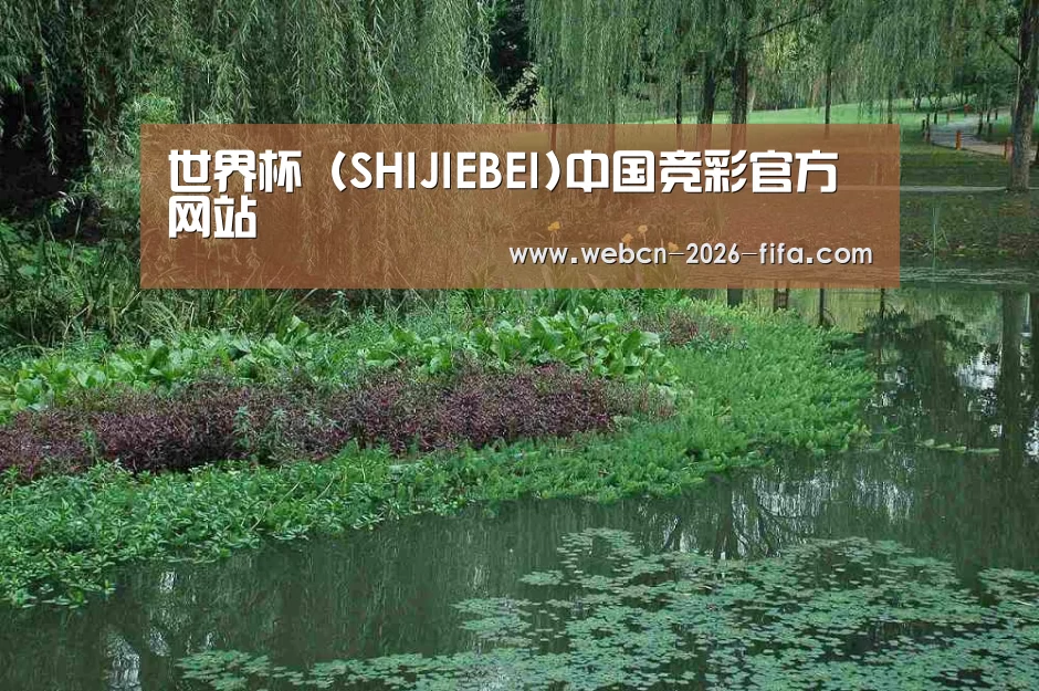 案例展示一(图1)