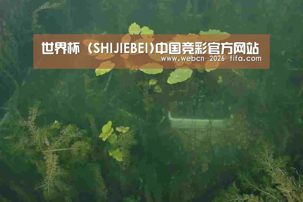 案例展示三(图1)