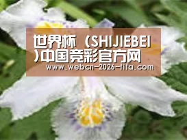 产品名称二