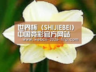 产品名称四