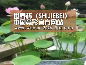 产品名称一