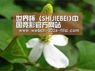 产品名称三