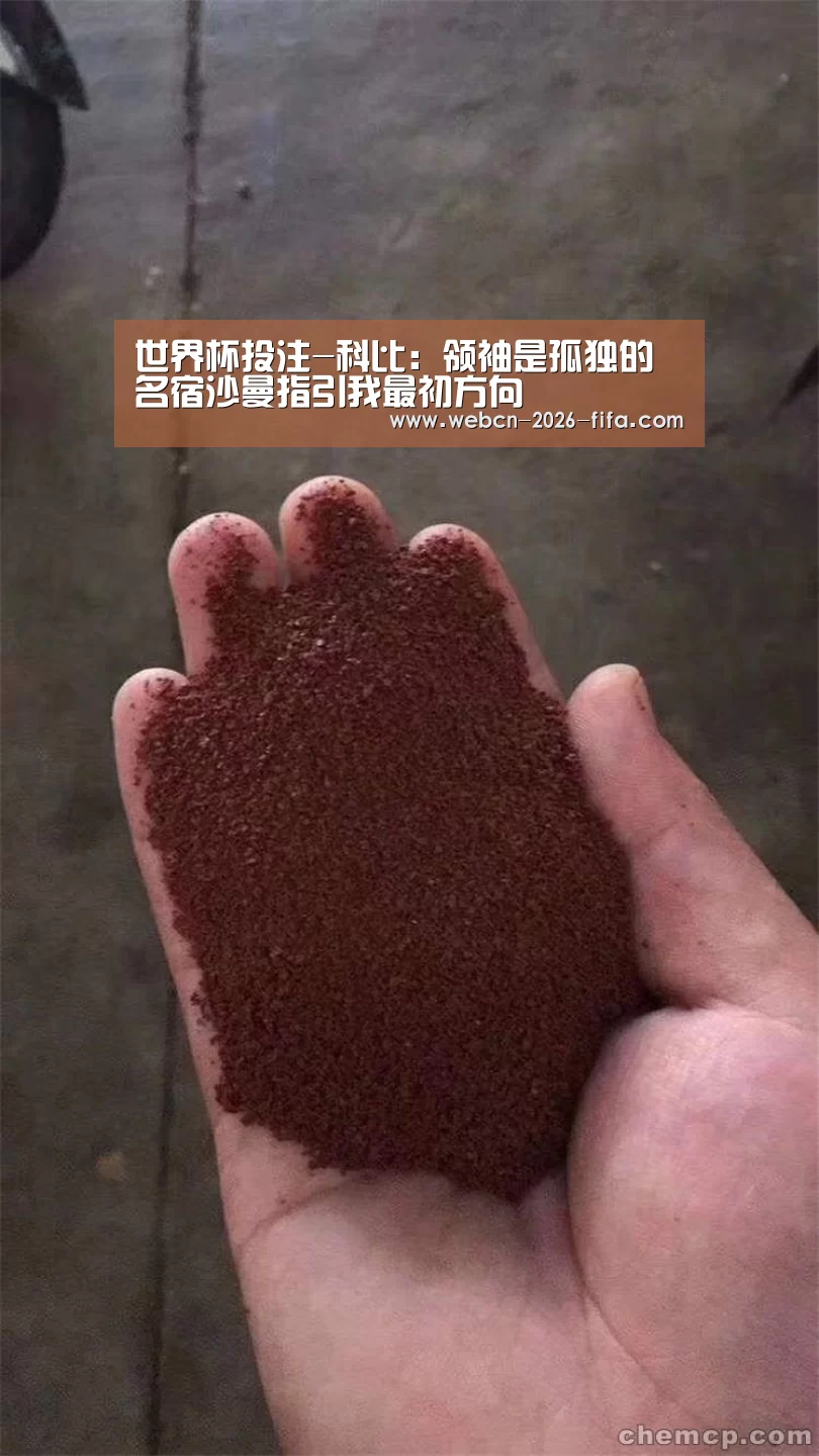 世界杯投注